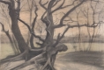 VAN GOGH. Tra il grano e il cielo