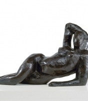 MATISSE | METAMORFOSI