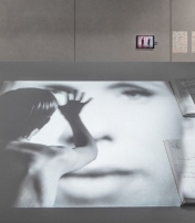 “A Kind of Language: Storyboards and Other Renderings for Cinema”