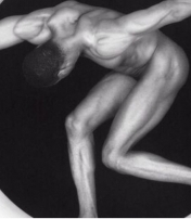 ROBERT MAPPLETHORPE. Le forme del desiderio