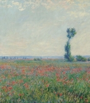 "Da Monet a Van Gogh a Kandinsky. Nuovi sguardi sulla natura e la modernità"
