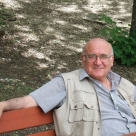 Andrea  Morelli