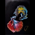 Opera di Emanuela Ragagnin