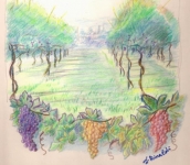 Personale di pittura di Giorgio Rinaldi “Acquerello di vino”