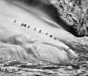 Sebastião Salgado. Ghiacciai