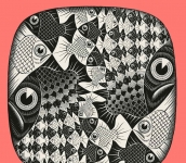 M.C. ESCHER. Tra arte e scienza