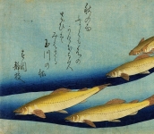 Graphic Japan. Da Hokusai al Manga