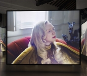 Isaac Julien. All That Changes You. Metamorphosis