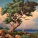 Opere di Nando Ragni