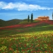 Opere di Stefania Zini