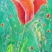 Opere di Chiara Stevanella