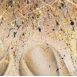 Opere di Anna Morandi
