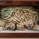Opere di Anthony Addabbo