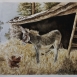 Opere di Gloria Macchi