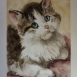 Opere di Gloria Macchi