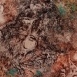 Opere di Gloria Macchi