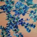 Opere di Antonia Montani