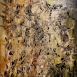 Opere di Antonia Montani