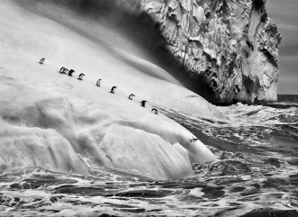 Sebastião Salgado. Ghiacciai