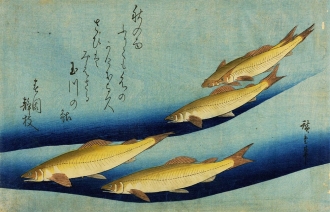 Graphic Japan. Da Hokusai al Manga