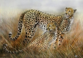 Il respiro dell'Africa