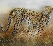 Il respiro dell'Africa