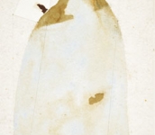 Sereno – Variabile