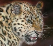 Gianluigi Alberio a "La Marguttiana" di Forte dei Marmi