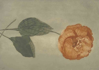 “Le nuvole, le nuvole, là lontano… le nuvole meravigliose”