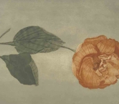 “Le nuvole, le nuvole, là lontano… le nuvole meravigliose”