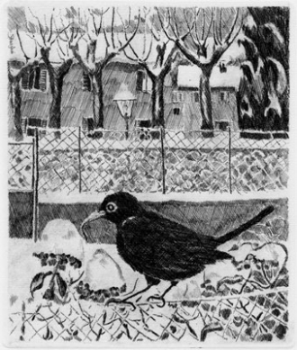 "Acida Aqua Caelata. Incisioni e Acquerelli"