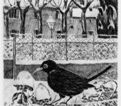 "Acida Aqua Caelata. Incisioni e Acquerelli"