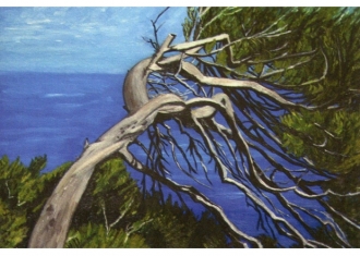 Esposizione presso la ART time di Udine