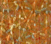 MOSTRA PERSONALE DI PITTURA