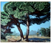 MOSTRA AL TRITTICO ARTE IN ROMA PIAZZA DEI SATIRI