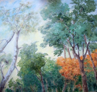 Maria Grazia Butti. COLORI E FORME