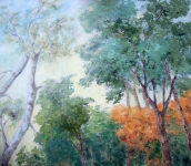 Maria Grazia Butti. COLORI E FORME